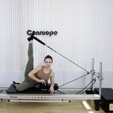 A2 реформатор